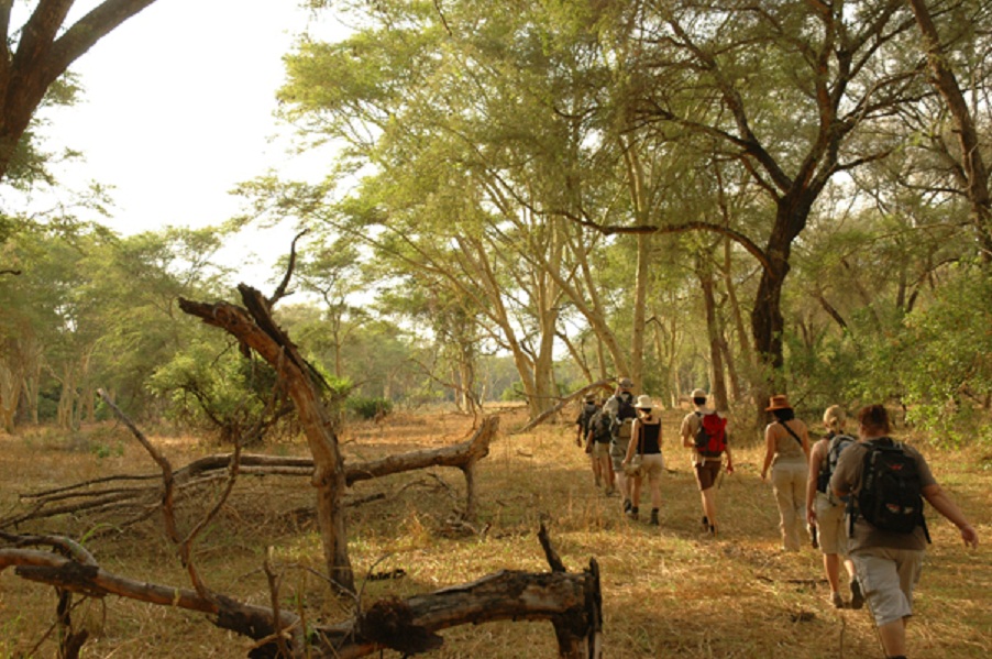 field guide kurs südafrika