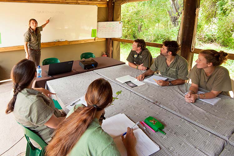 theorie field guide programm krugerpark