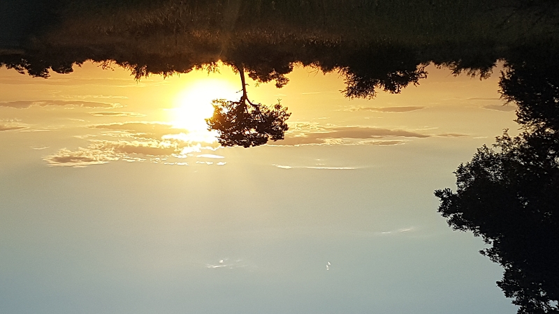 k sonnenuntergang krugerpark südafrika