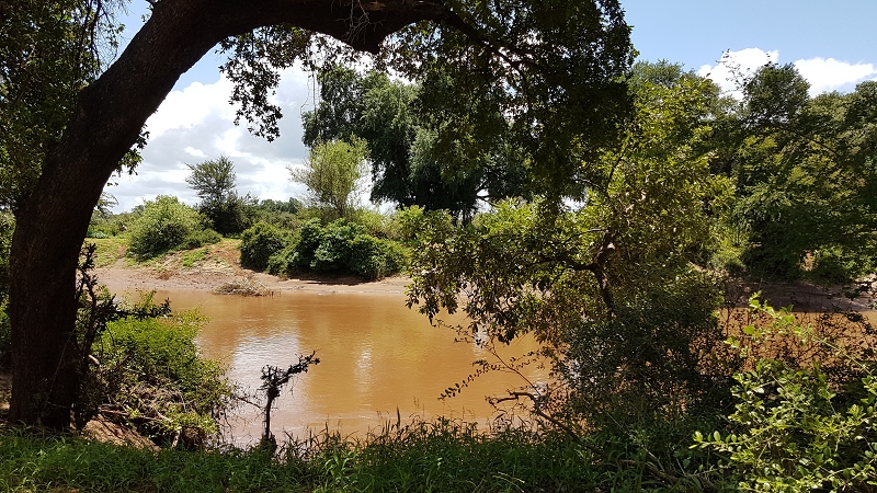 k wasserloch blick südafrika krugerpark