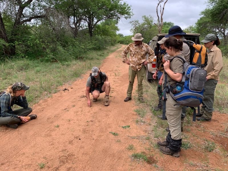 k9 safari kruger park spurensuche training suedafrika